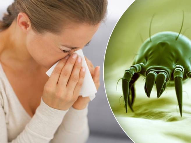 Obrázok ku článku Úklid u alergiků: Jak na prach a roztoče