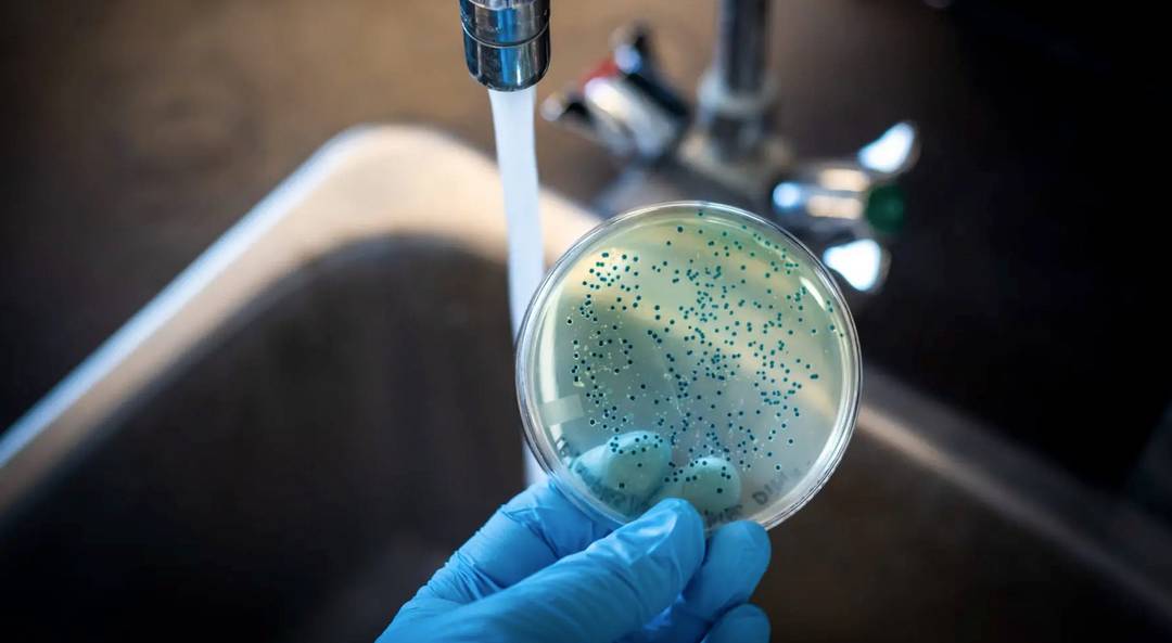 Filtrační konvice proti baktériím