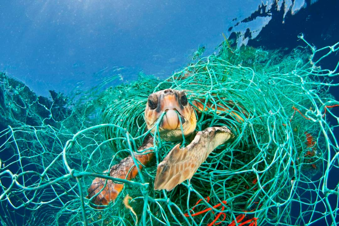 Plastový odpad v oceánech